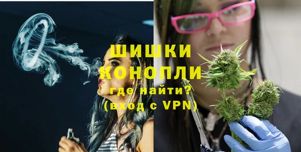 дживик Магас