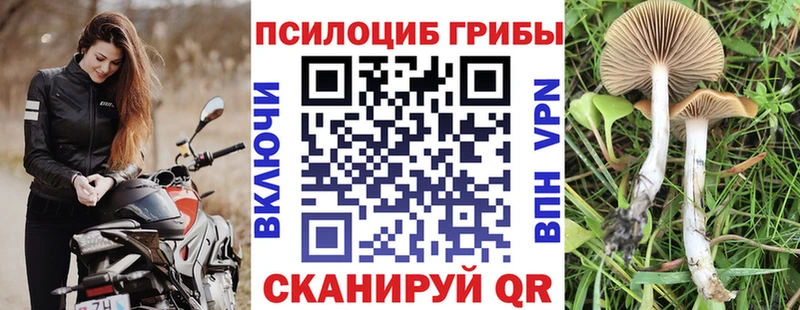 Галлюциногенные грибы GOLDEN TEACHER  Дальнегорск 